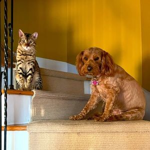 Meet your Posher, Maria